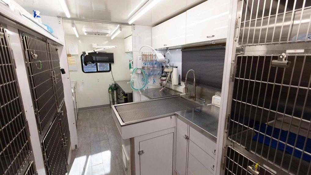 Mobile vet clinic bringing low-cost procedures, surgeries to Tucson pet owners